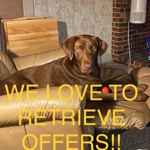 We love to receive offers!